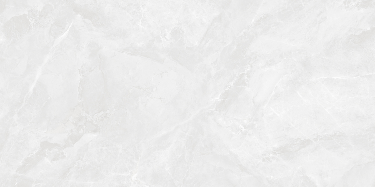 CR6012G0401R На пол Regnum Bianco светло-серый матовый 59.5х119.1 - фото 3