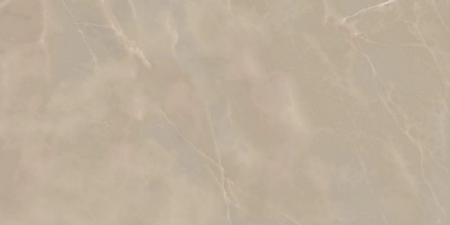 610015000644 На пол Symphonyx Cashmere Rett 60x120 Lapp. - фото 2