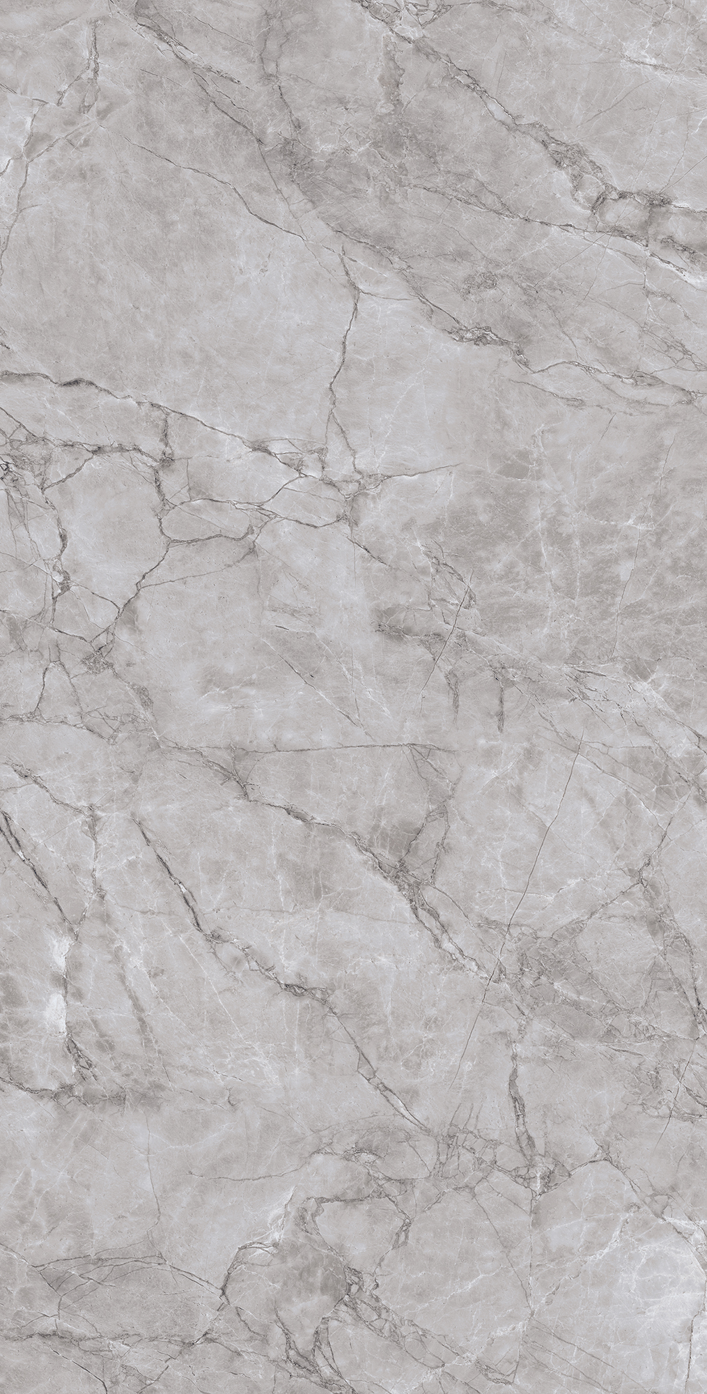 CL4005-A На пол Arctic Grey Carving Lappato 60x120 - фото 6