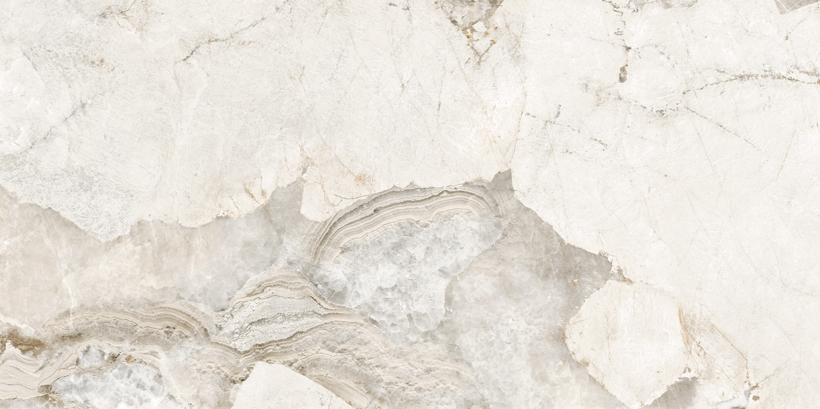 D120256LG На пол Seashell Лаппатированный граниль 600x1200x9.5 - фото 4