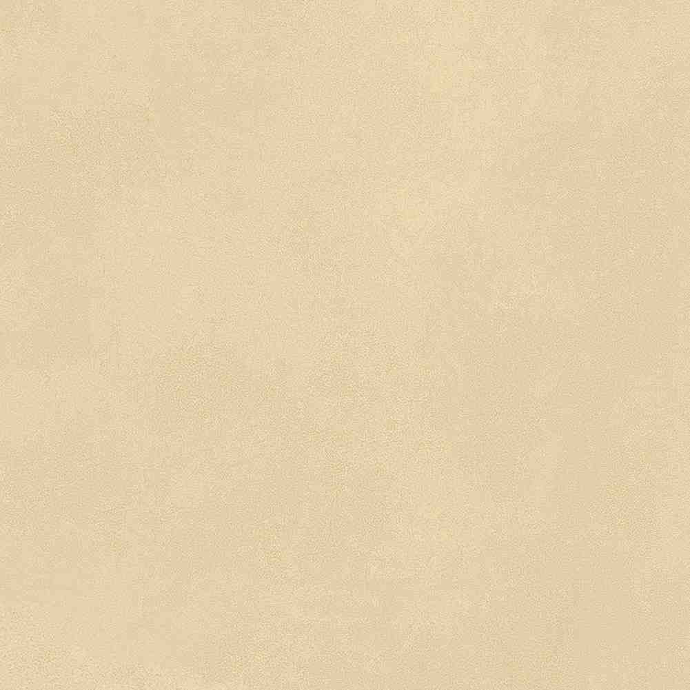 ENCLR6079MT2020 На пол Levels Avorio Matt 200х200х8 - фото 13