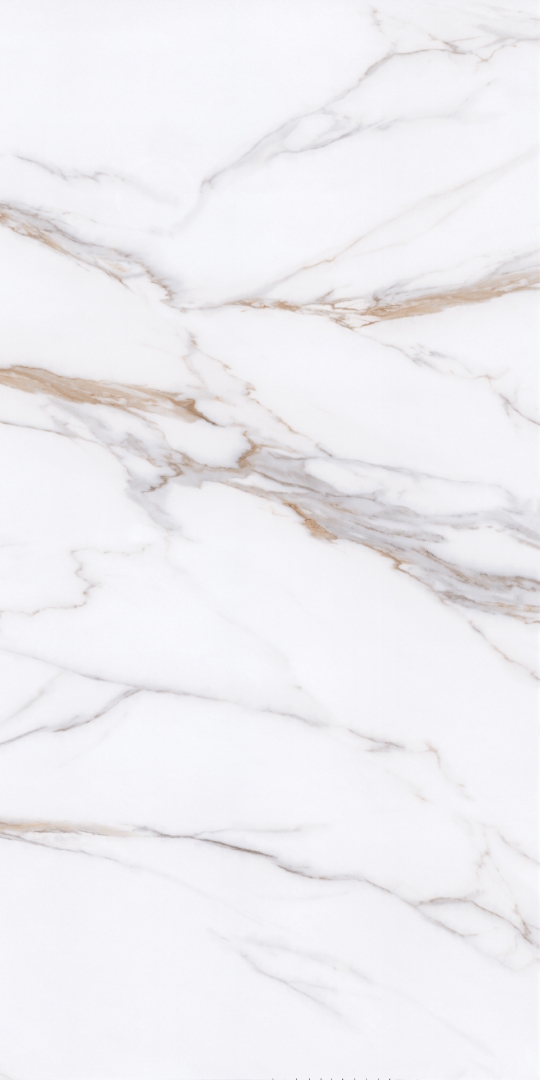 PT12P7059 На пол Bianco Pol 1200х600х9 - фото 3