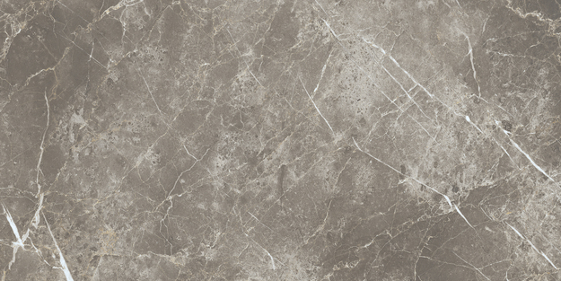 ECC2 На пол Elements Lux Persian Grey Silk RT 60x120