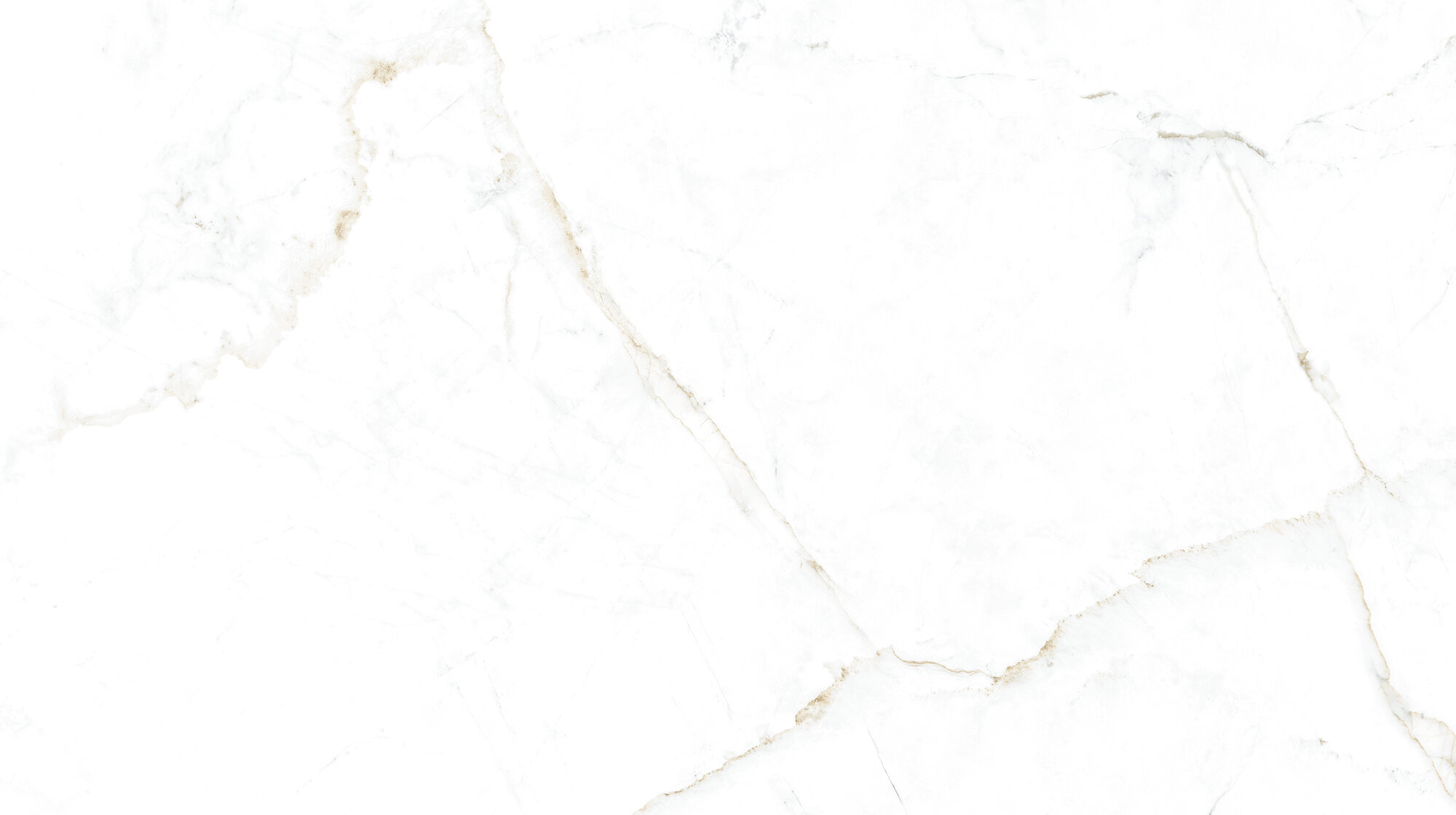 31744 На пол Museum Dual White SP/R 100х180 - фото 10