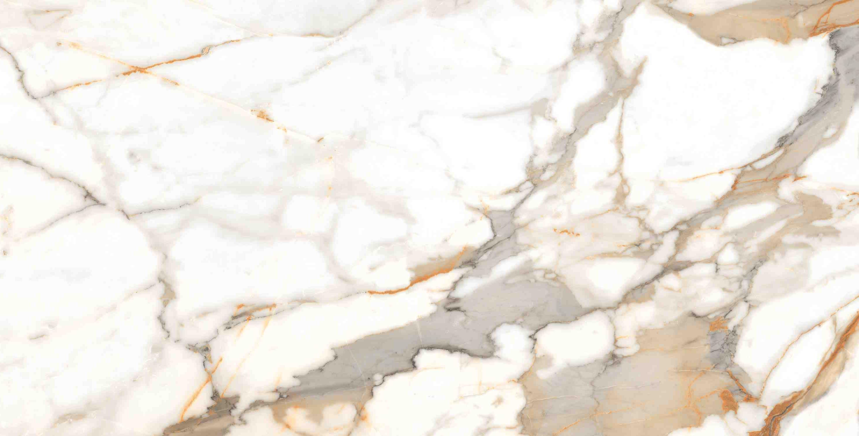 ENMAR7003MT60120 На пол Marble Calacatta Oro Matt 60x120 - фото 14