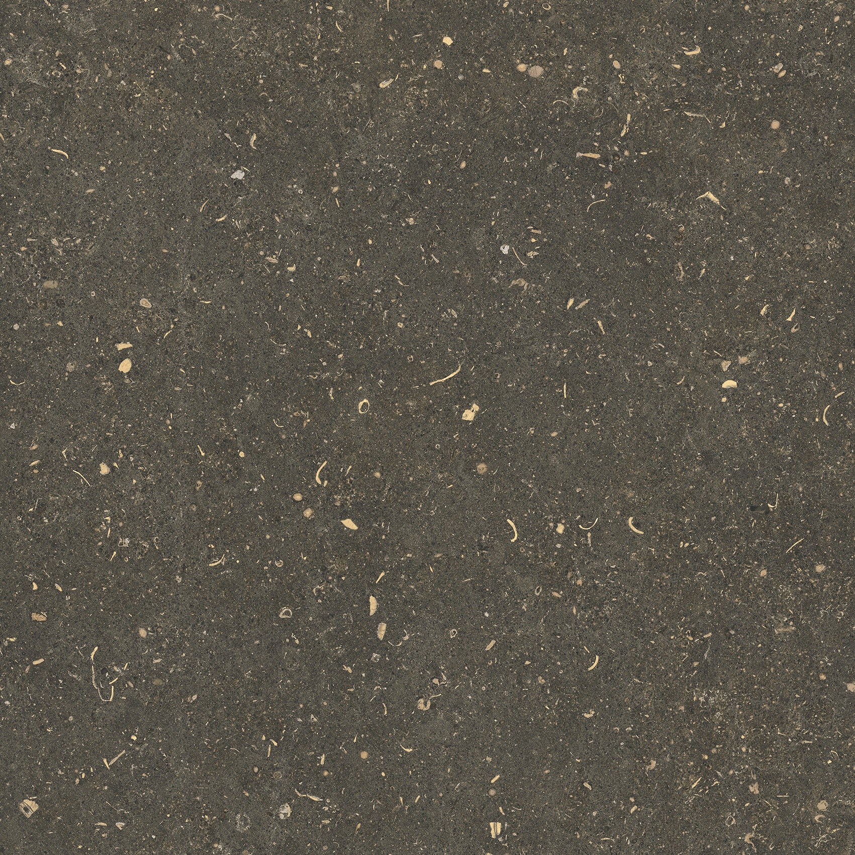 785499 На пол Rinascenza Arena Platino Grip 60x60 - фото 2