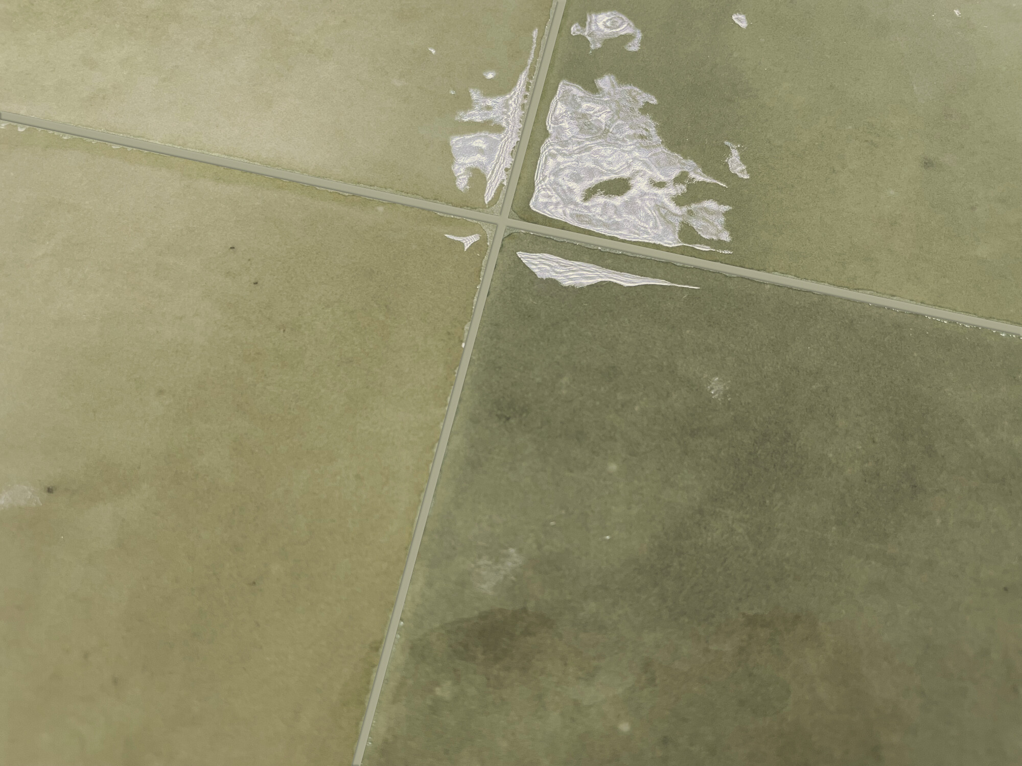 Harmony Samira - фото 10