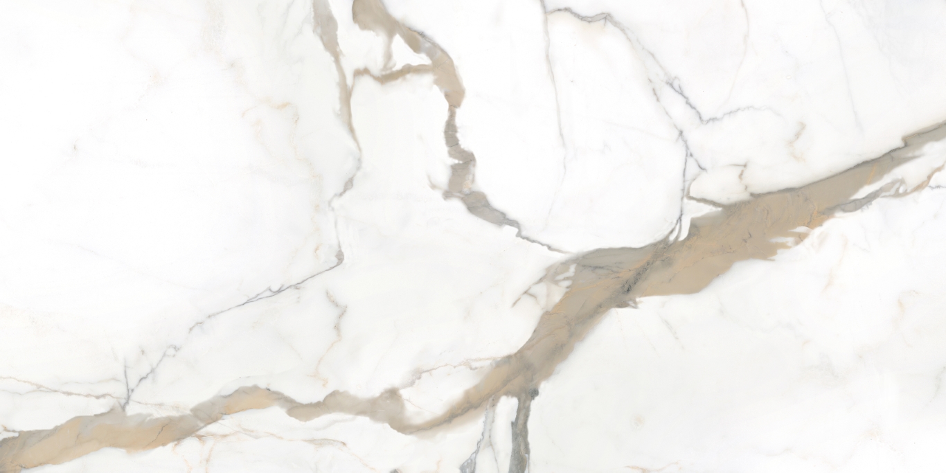 CA006012N На пол Calacatta Brown 60х120