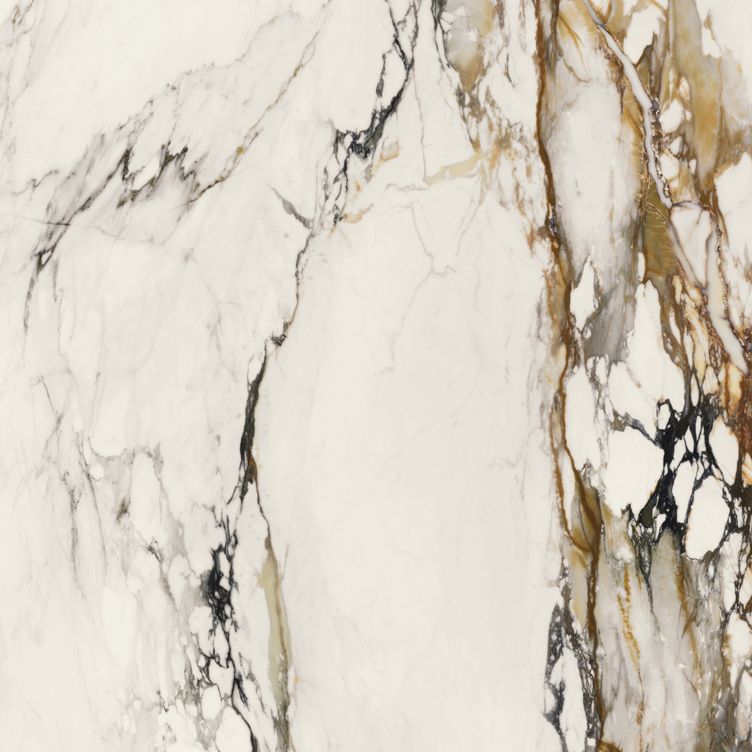 100331132 На пол Xlight Paonazzo Biondo Polished 120x120 - фото 2