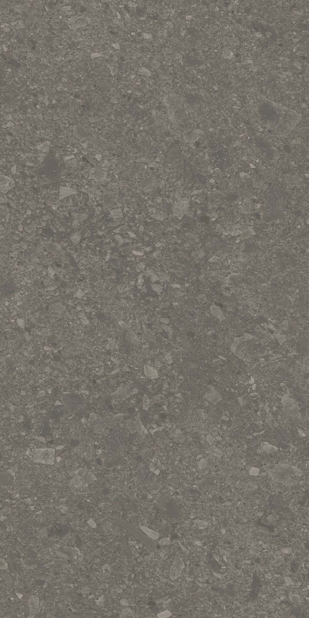 DD591700R На пол Чеппо ди Гре Коричневый матовый обрезной 119.5x238.5x1.1 - фото 6