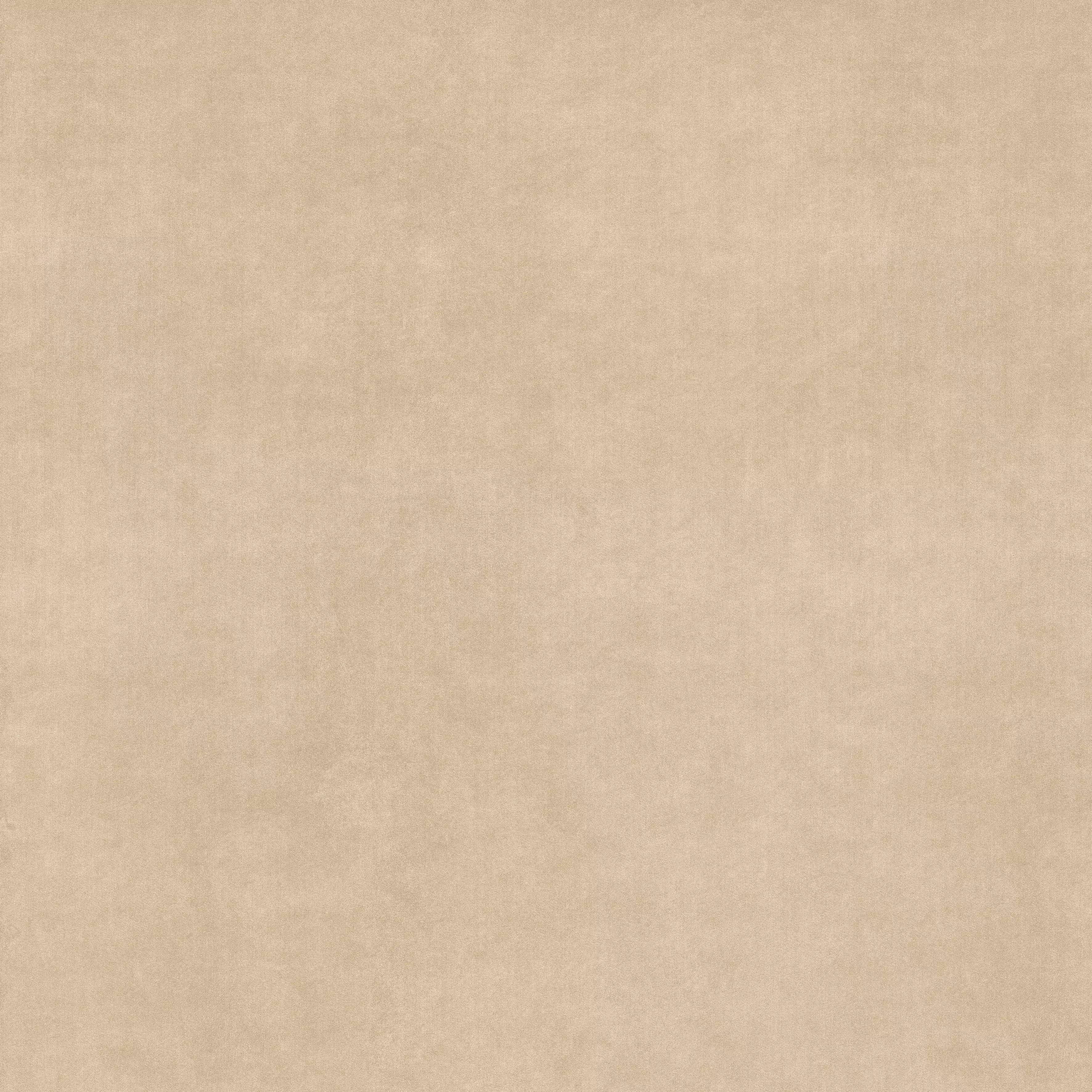 0020872 На пол Harmony Velvet Beige Nat 120x120