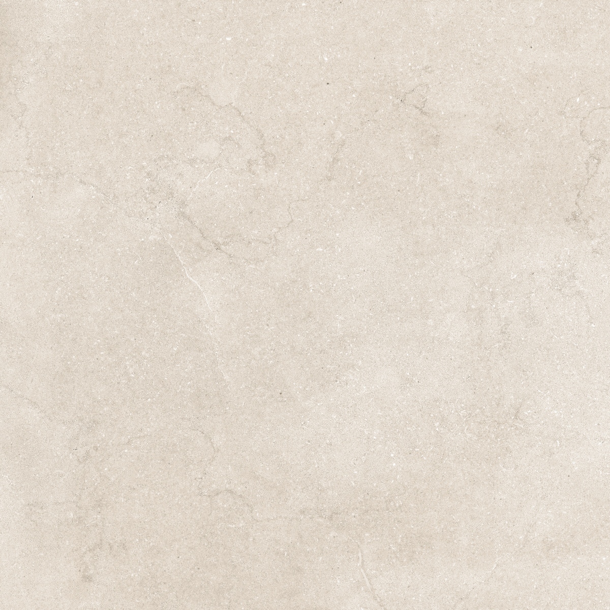 N12051 На пол Stone Eden Light Matt 120x120