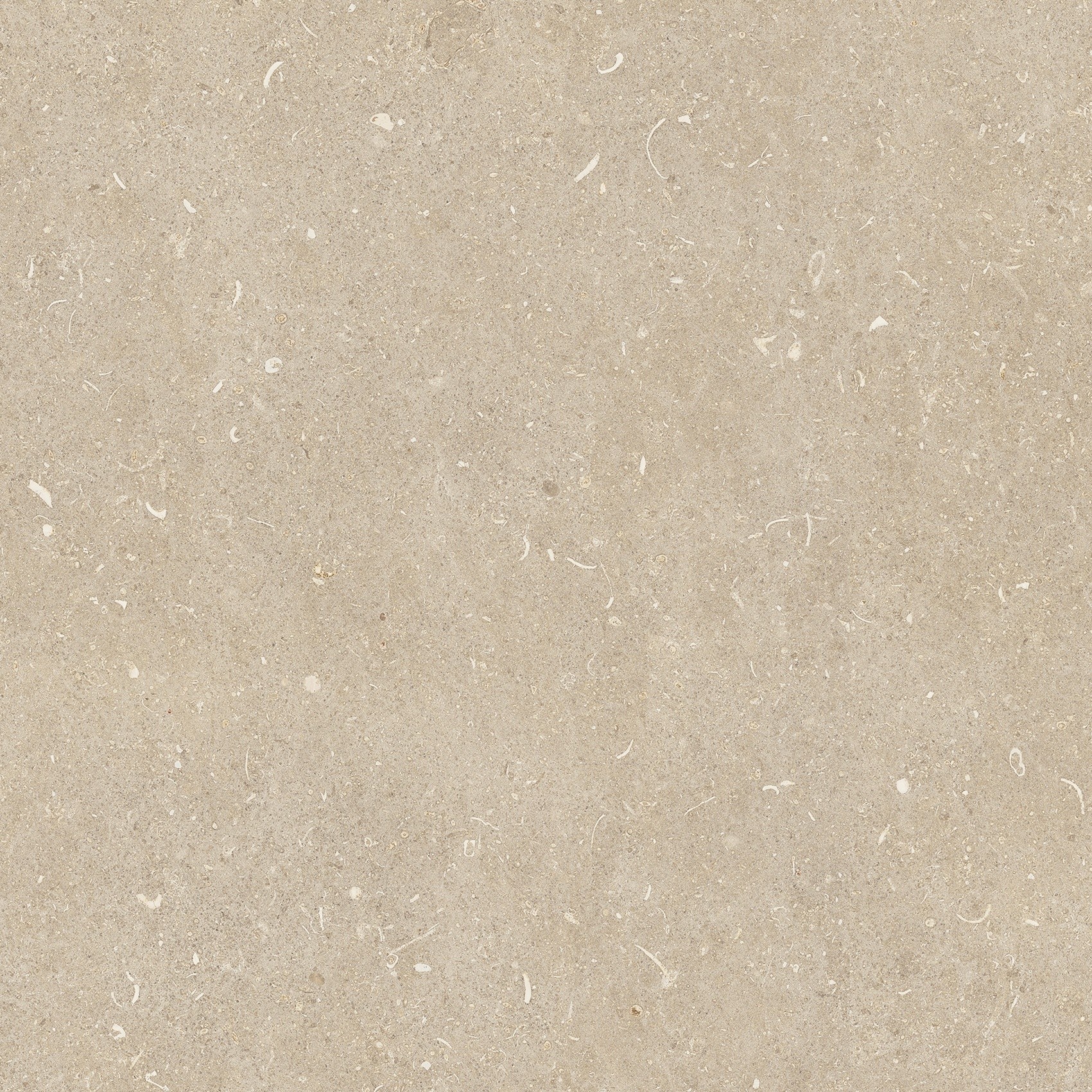 785485 На пол Rinascenza Arena Conchiglia Matte 60x60 - фото 2