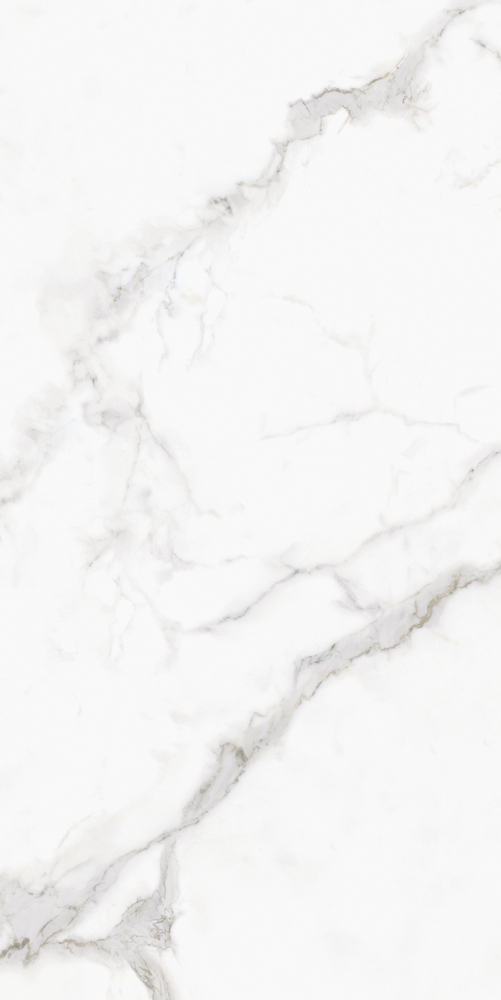 GT120607803PR На пол Monza Белый PR 60x120 - фото 4