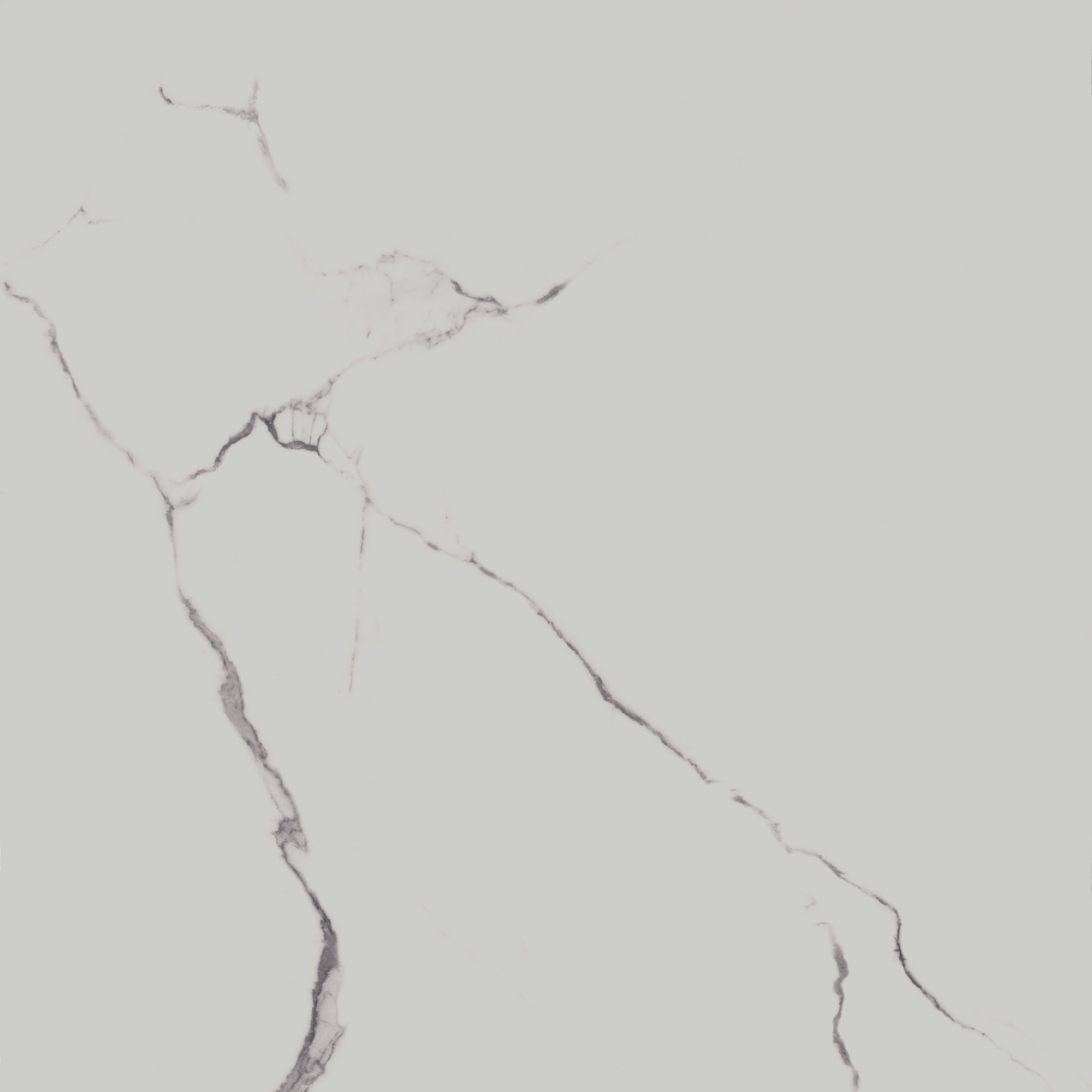 SG849992R Напольный Монте Тиберио Белый лаппатированный обрезной 80x80x0.9 - фото 5