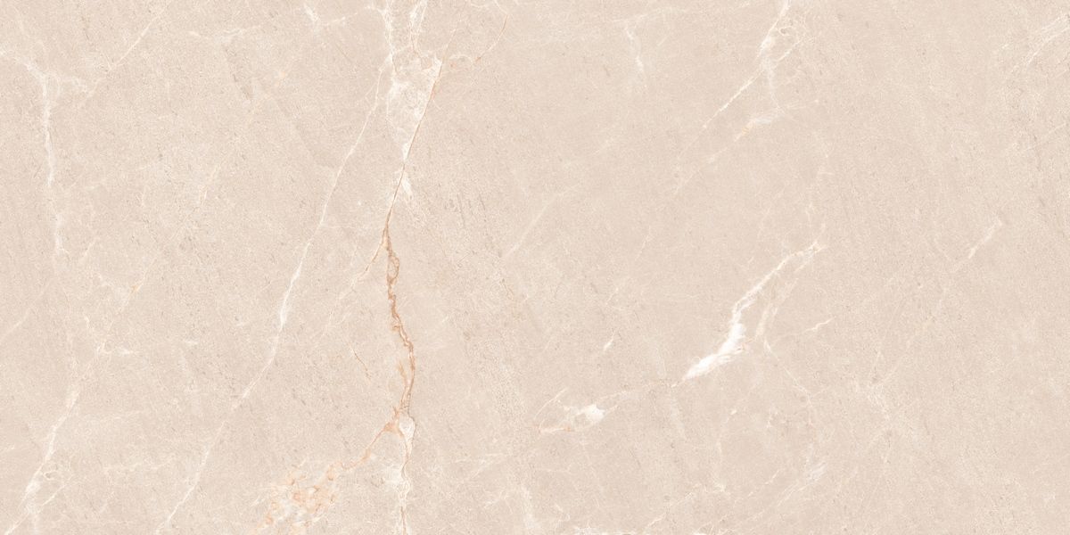 N20554 На пол Stone Persian Beige Matt 60x120 - фото 3