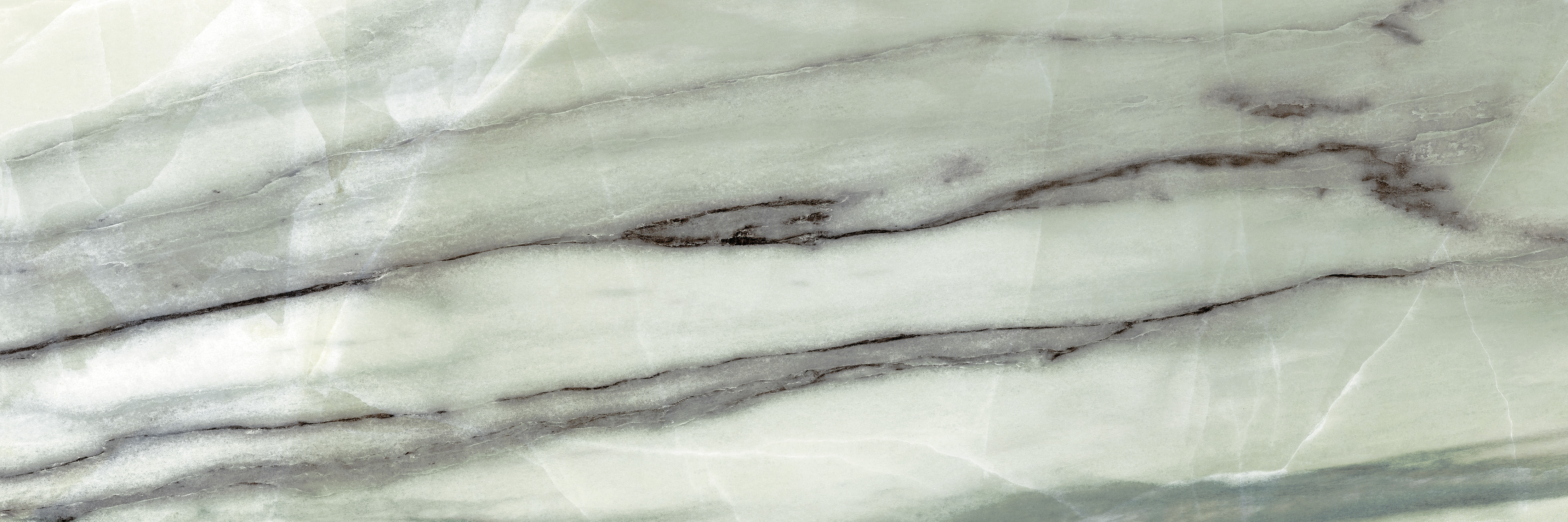 16496 На стену Meet The Wild Зеленый