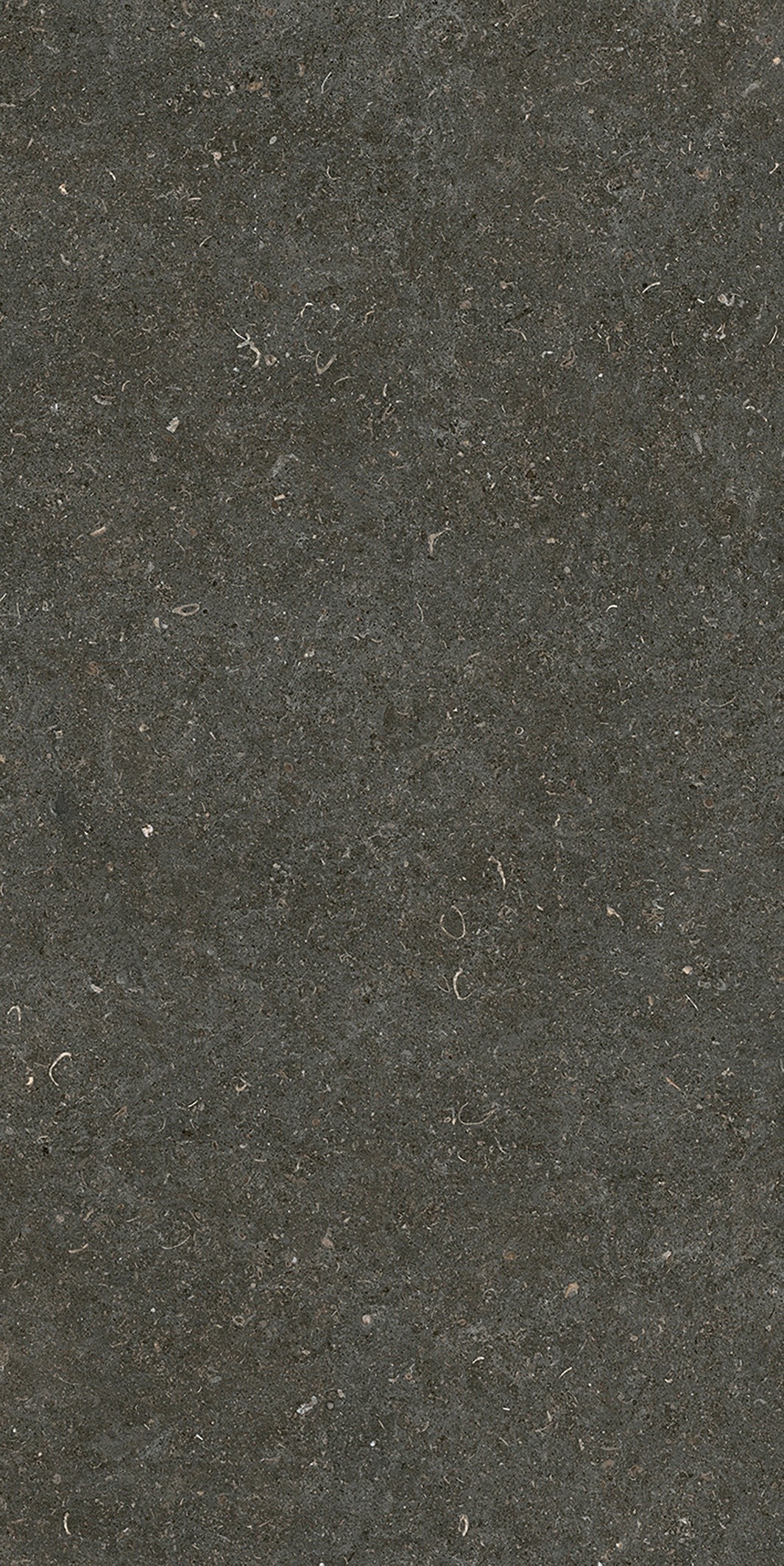 785577 На пол Rinascenza Arena Platino Matte 6mm 60x120 - фото 8