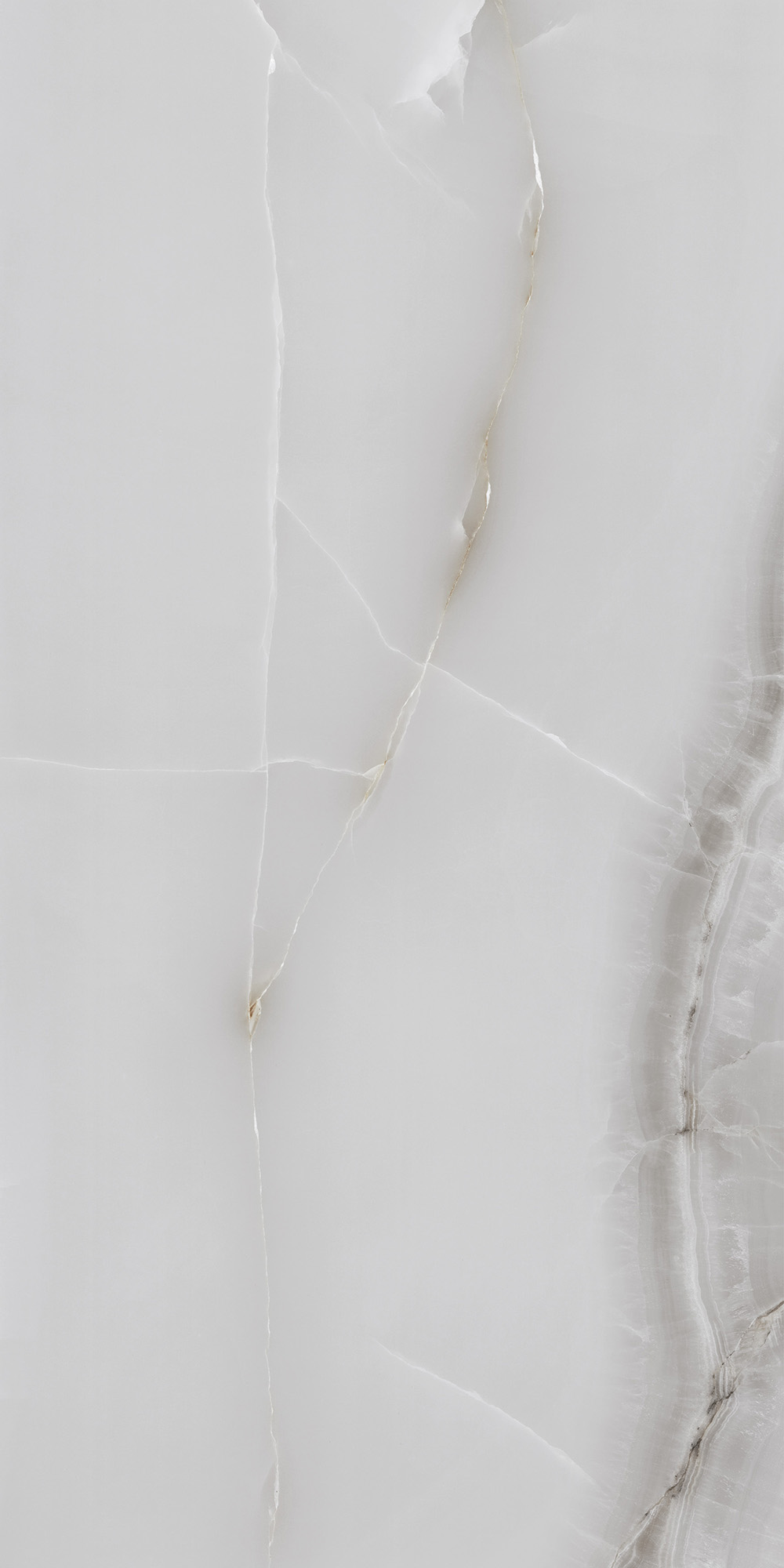 FP1025-A На пол Onyx Line Grey Full Polished 60x120 - фото 8