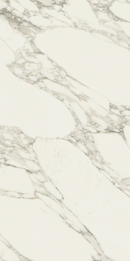 610015000495 На пол Charme Deluxe Arabescato White Cer. 60x120