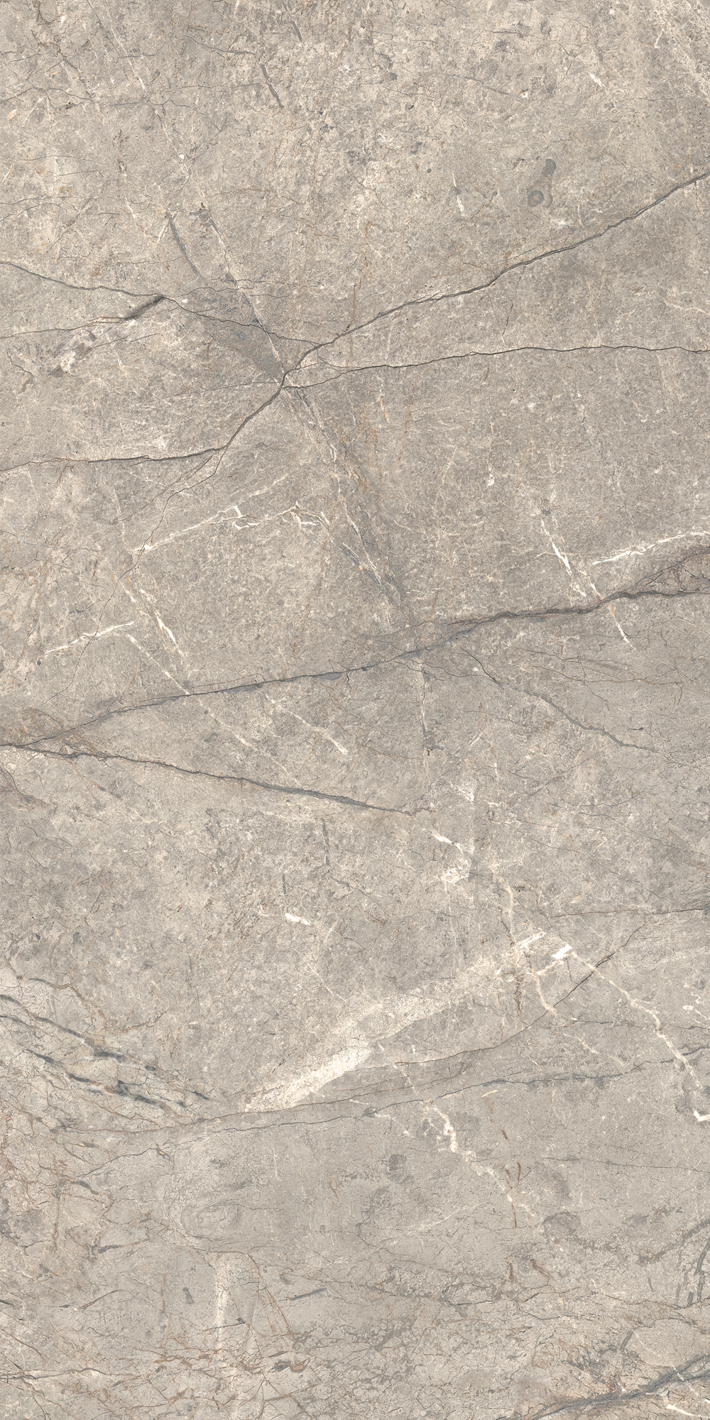 AIAV На пол Anima Futura Amazing Silver Liscio Matt 60x120 - фото 6