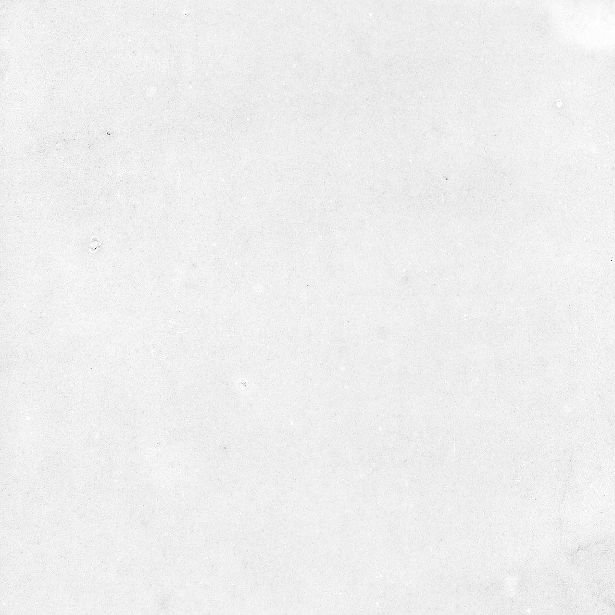 43294 На стену Samira White 10x10 - фото 41