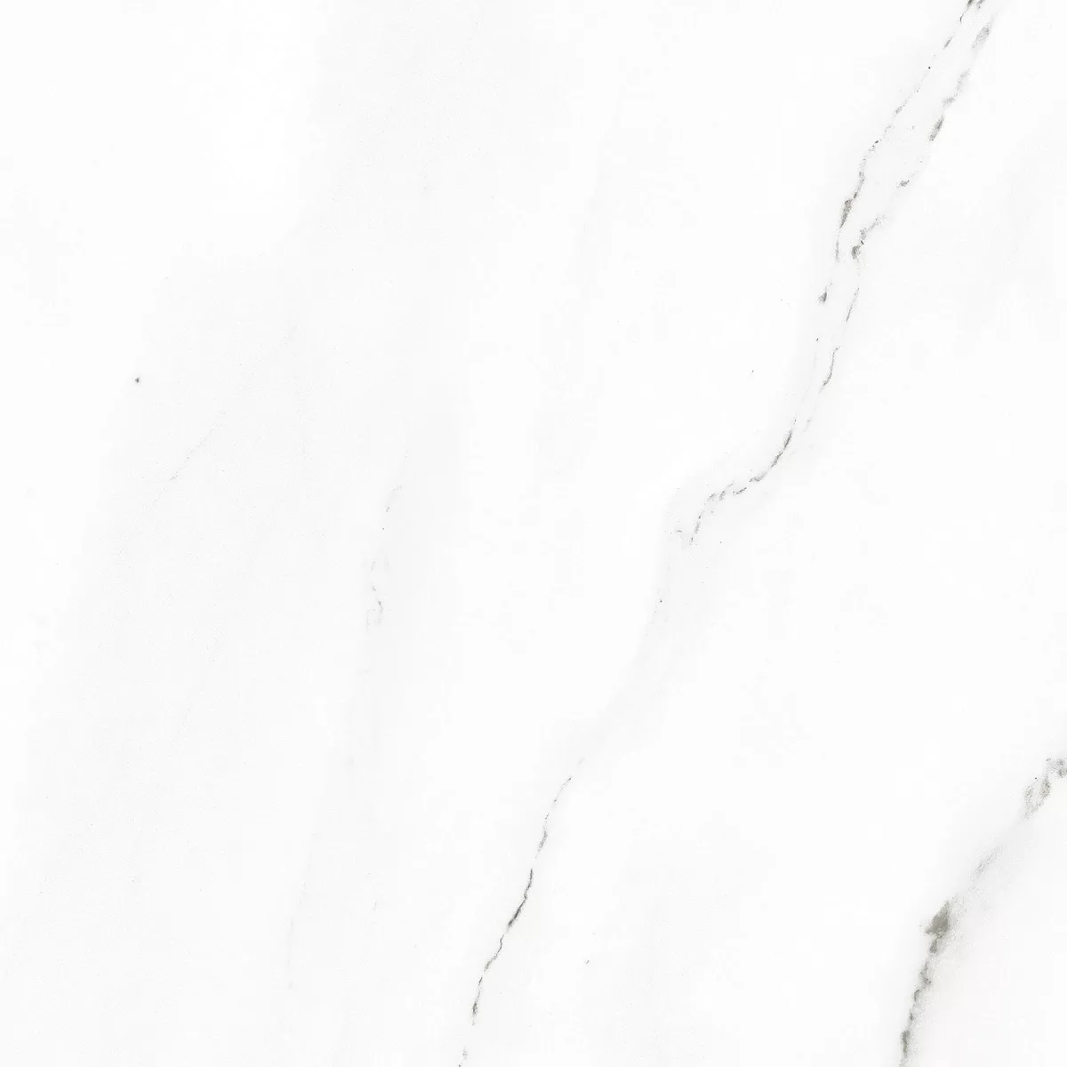 E-3010/MR/600x600x9 На пол Harmony Белый ректификат 600x600x9 - фото 9