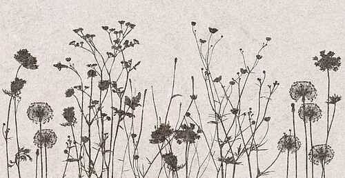 SGW59D13100A Декор Flamel Flamel 