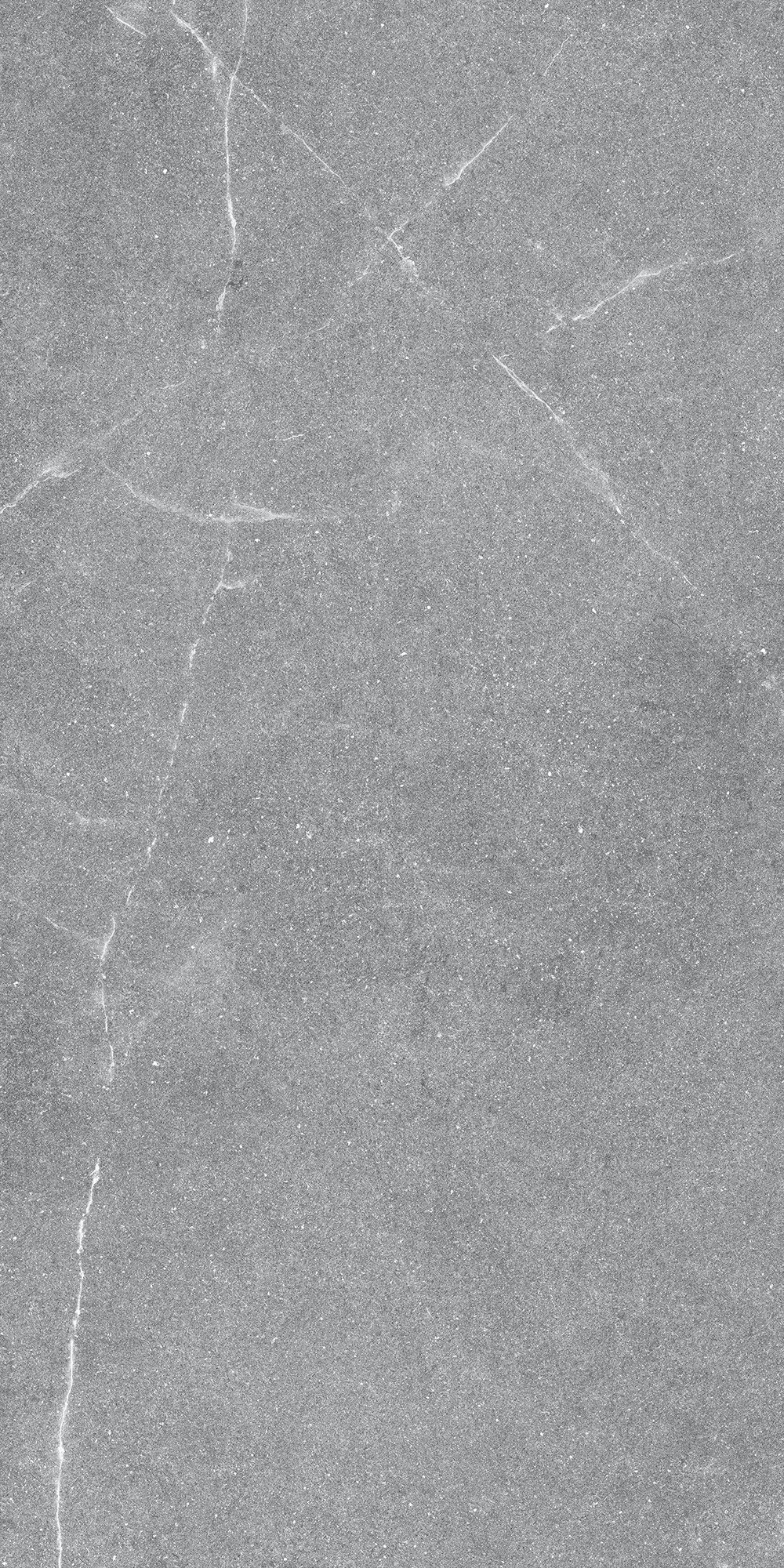 GT1206015401MR На пол Geo Серый 60x120 - фото 3