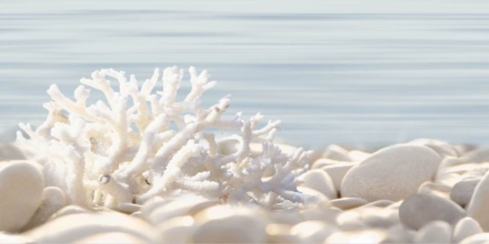 DWU09DLM624 Декор Del mare Камешки 4