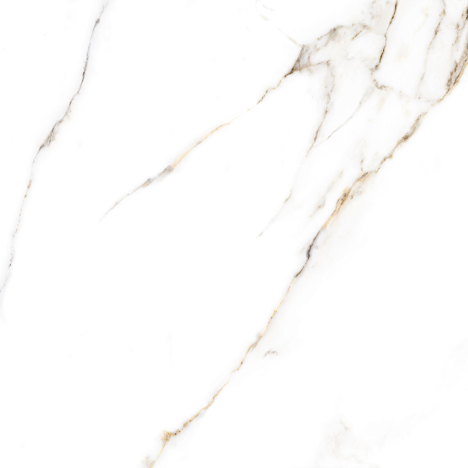 GFU6060ECL04R На пол Extra Calacatta 04R матовый 600x600x9 - фото 12