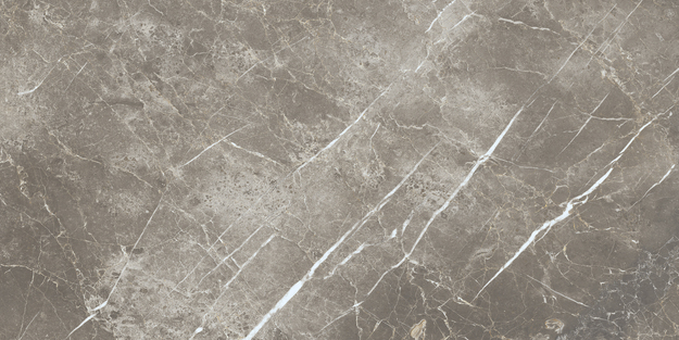 ECC2 На пол Elements Lux Persian Grey Silk RT 60x120 - фото 5