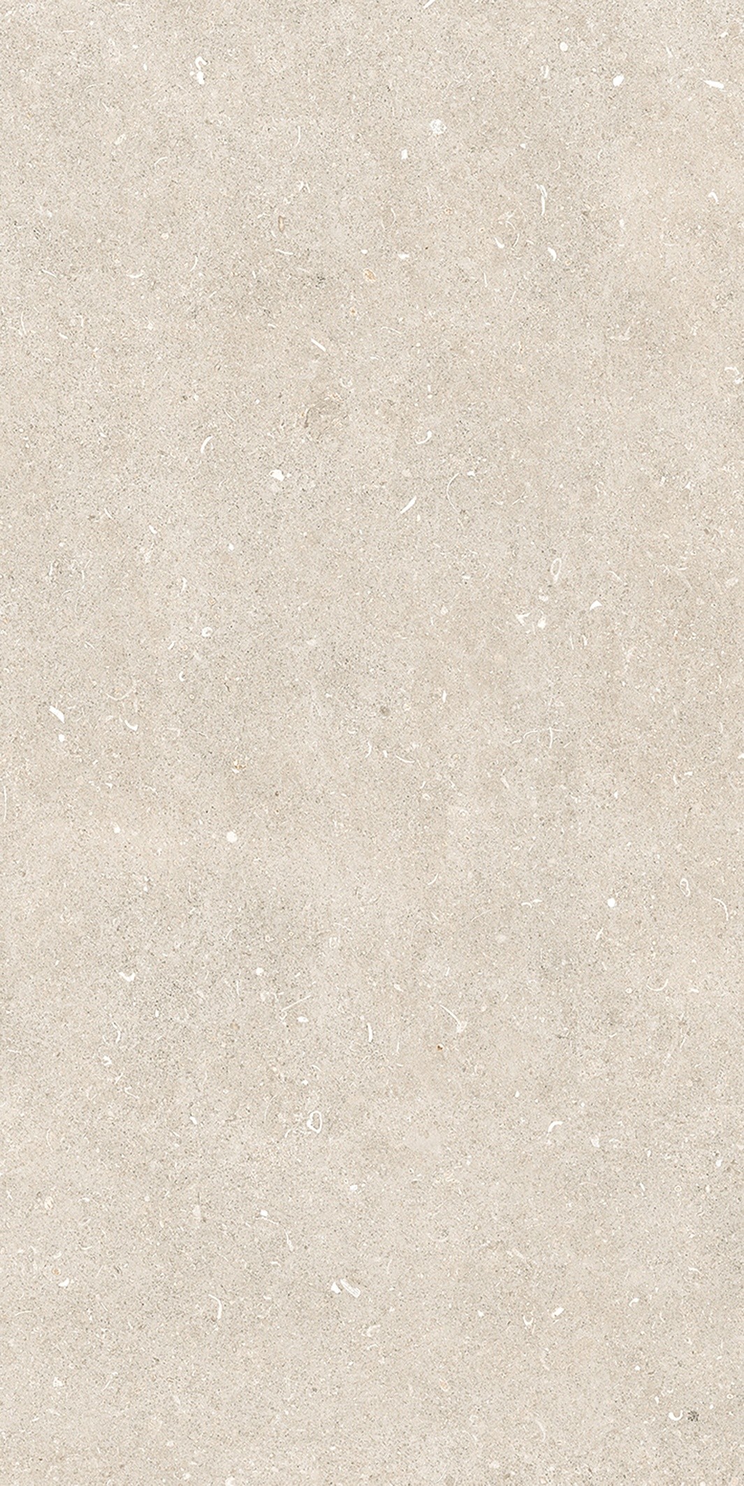 785574 На пол Rinascenza Arena Bianco Antico Matte 6mm 60x120 - фото 10