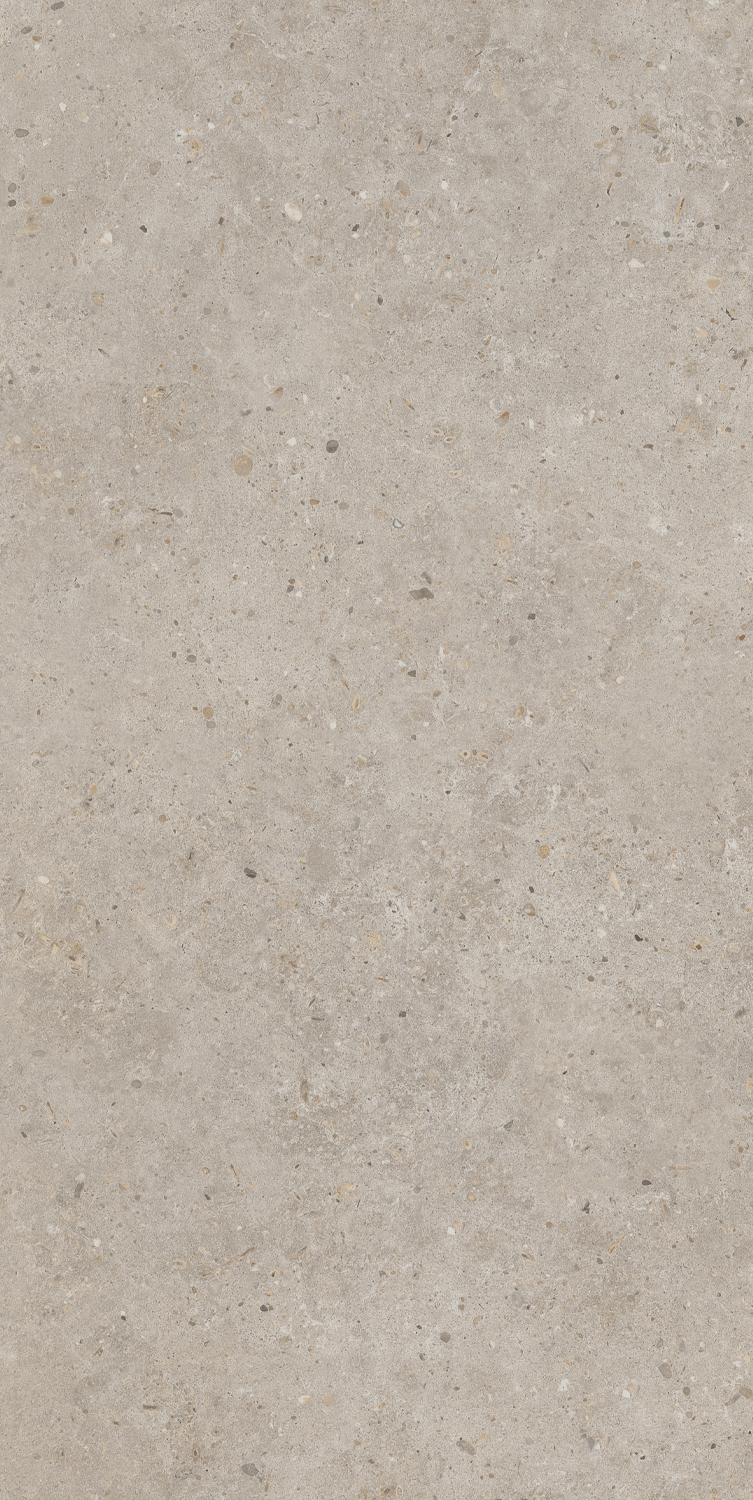 SG540620R На пол Риккарди Бежевый Матовый Обрезной 60x119.5 - фото 5