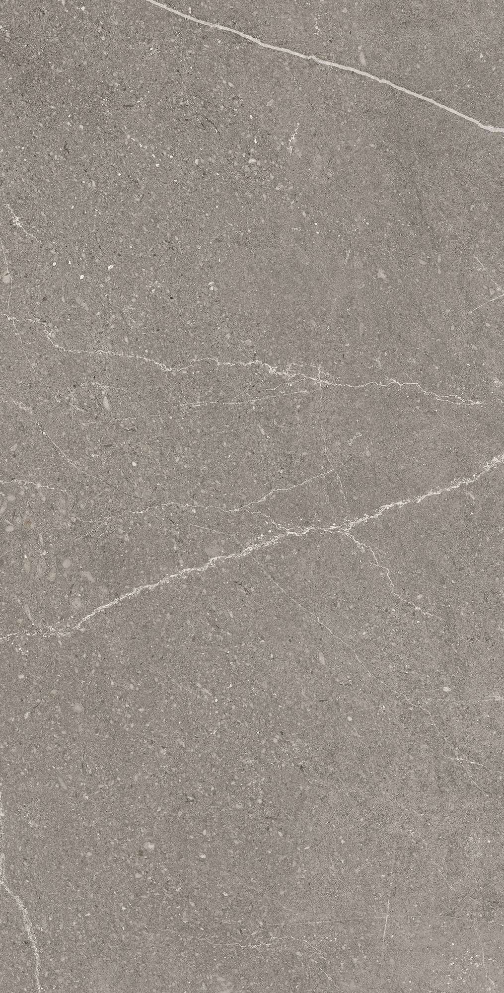 RG6002-A На пол Equistone Graphite Rotto Glossy Ink 60x120 - фото 3