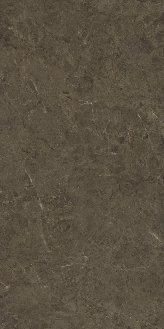 PT12F7039 На пол Neapol Brown Matt 1200х600х9 - фото 3