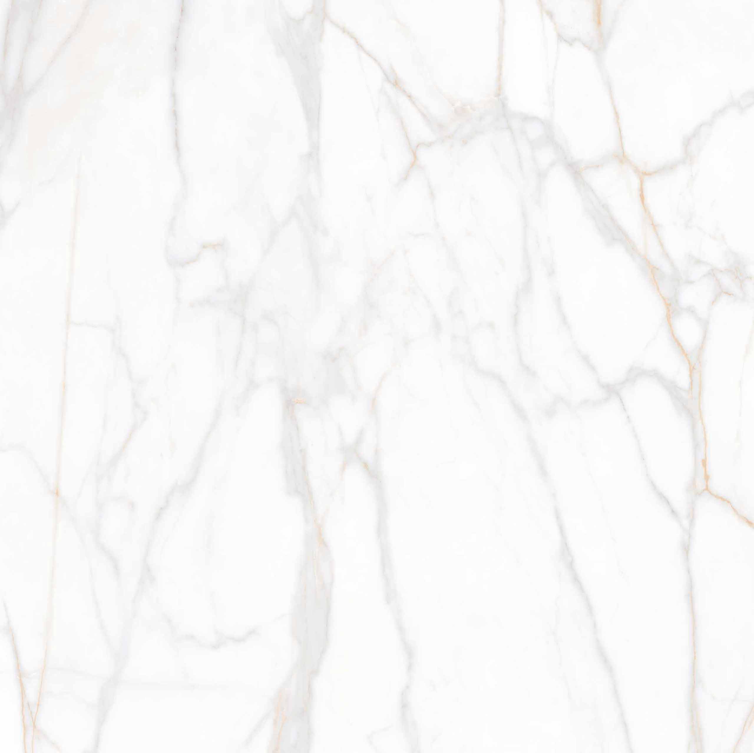 На пол Supreme Gold неполированный 80x80 - фото 6