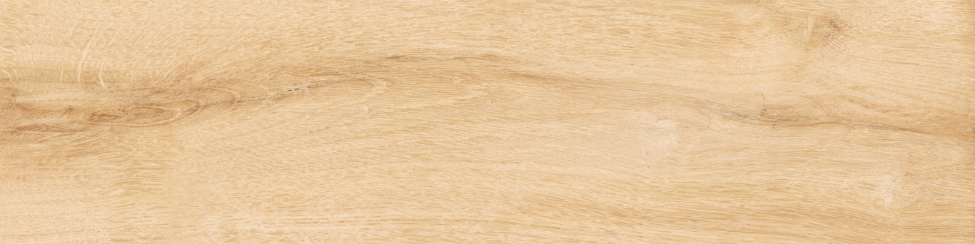 KM1040G0011N На пол Аргания Бежевый матовый 9.9x40.2x0.8 - фото 17