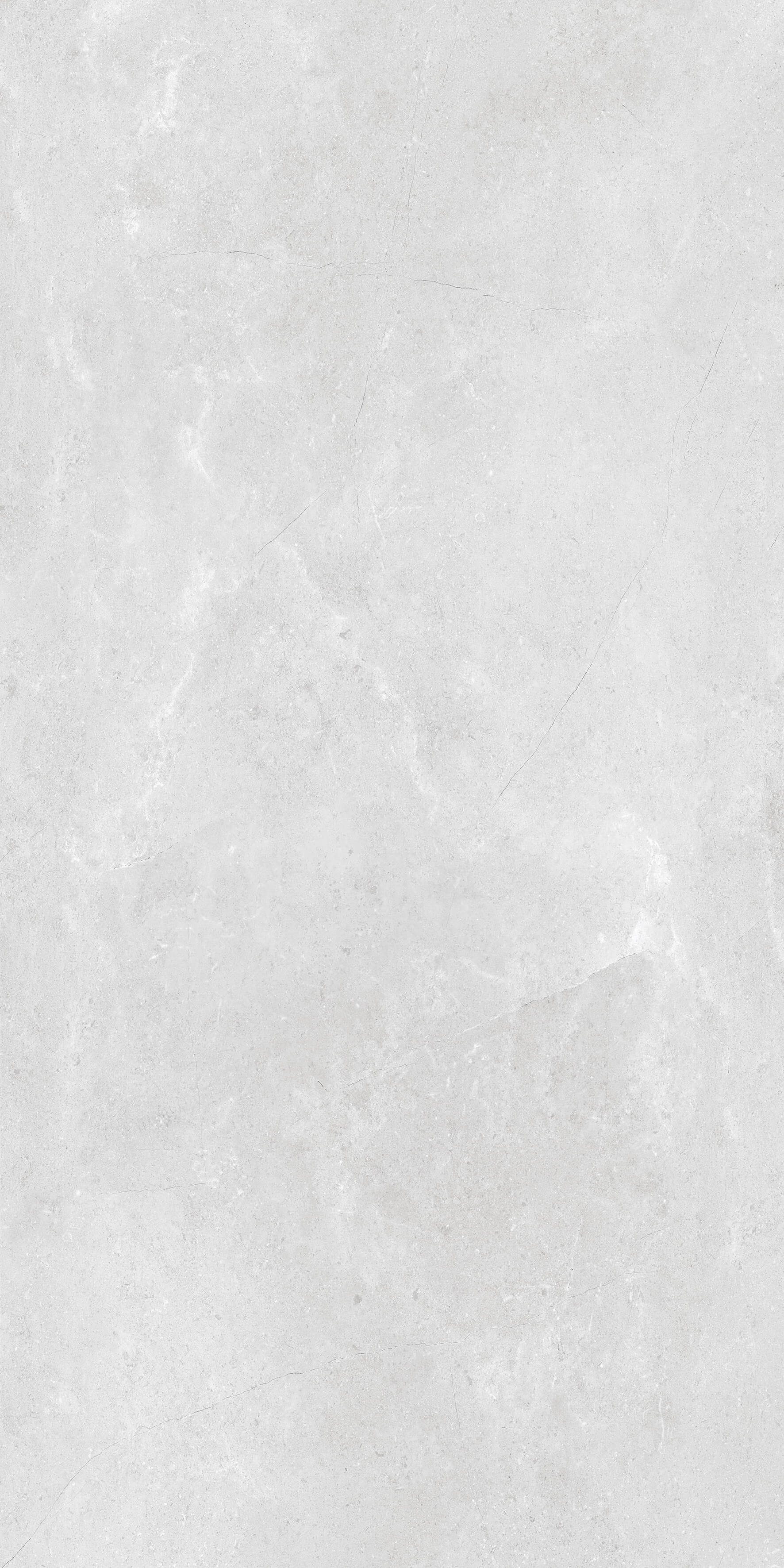 1205 На пол Stone Porto White Matt 120x60 - фото 2