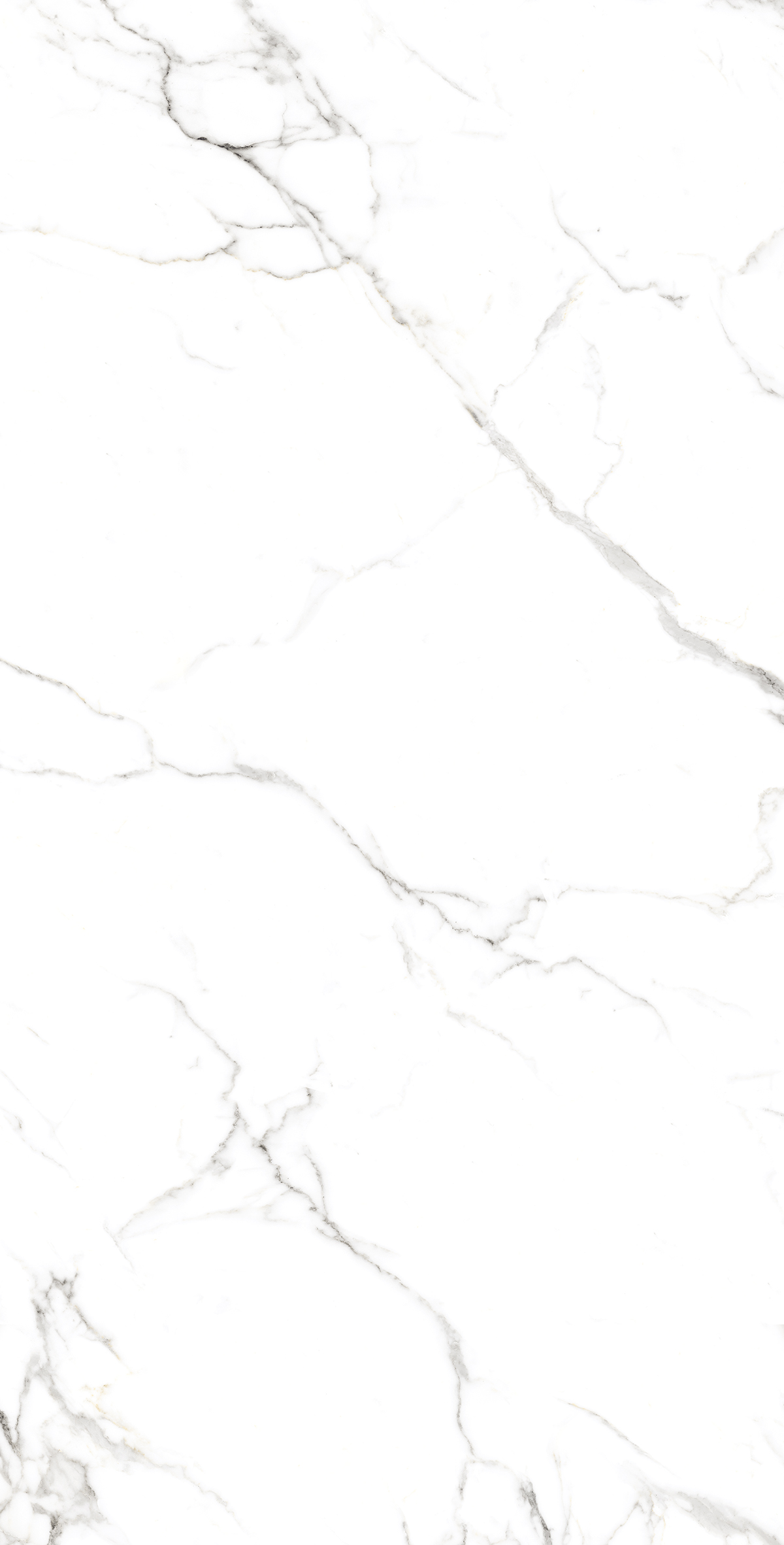 FP1039-A На пол Statuario Fine Full Polished 60x120 - фото 2