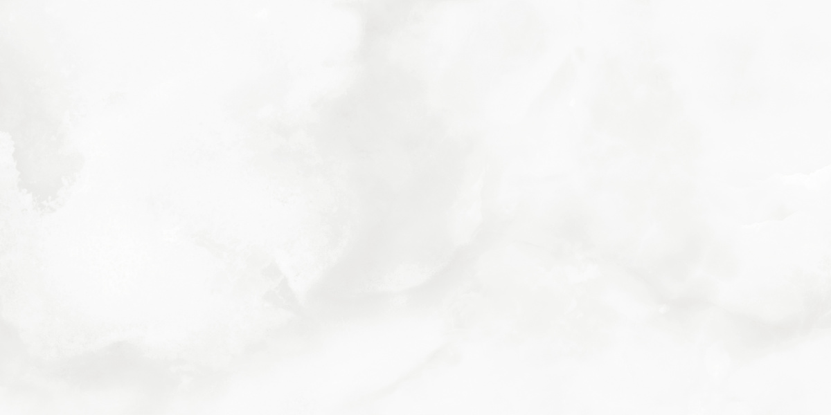 LP6012G0541R На пол Bernini Bianco белый глянцевые чернила 59.5х119.1 - фото 11