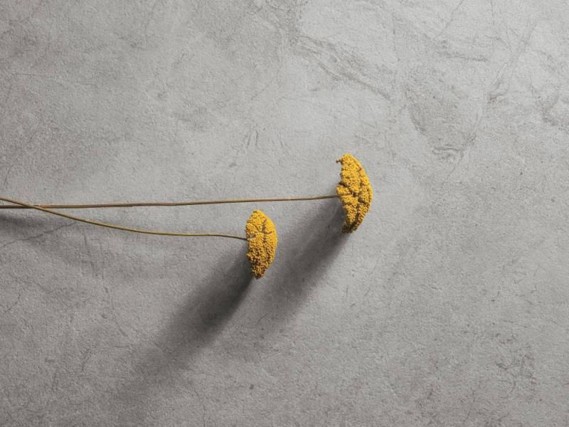 OH25 На пол River Beige Soft - фото 3