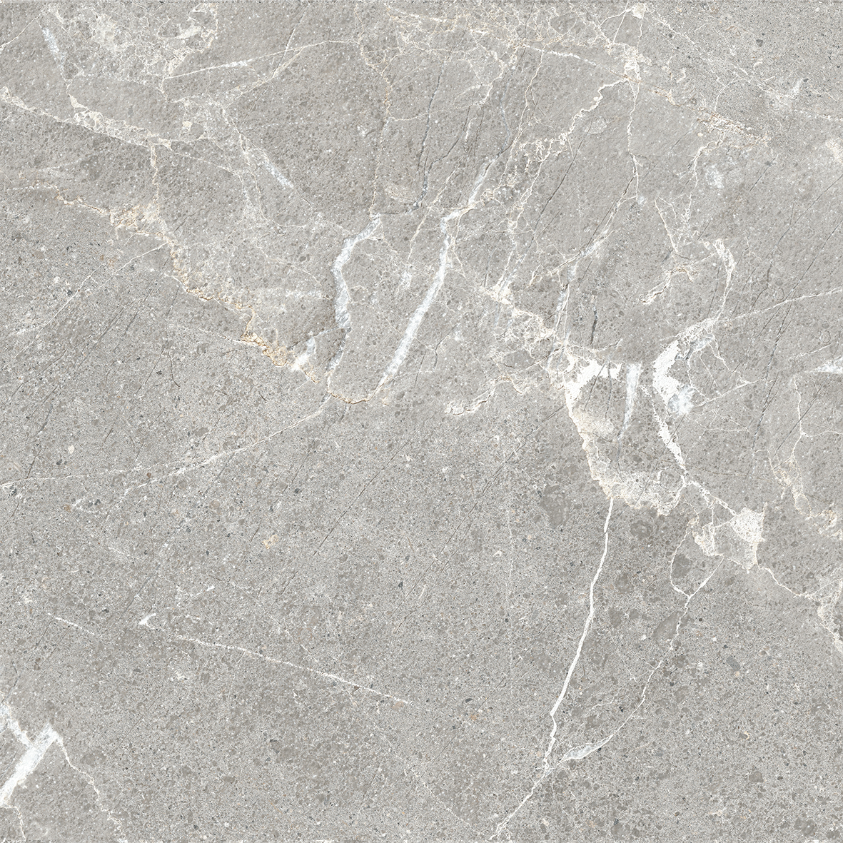 NR0388 На пол Garcia Серый матовый 60x60 - фото 7