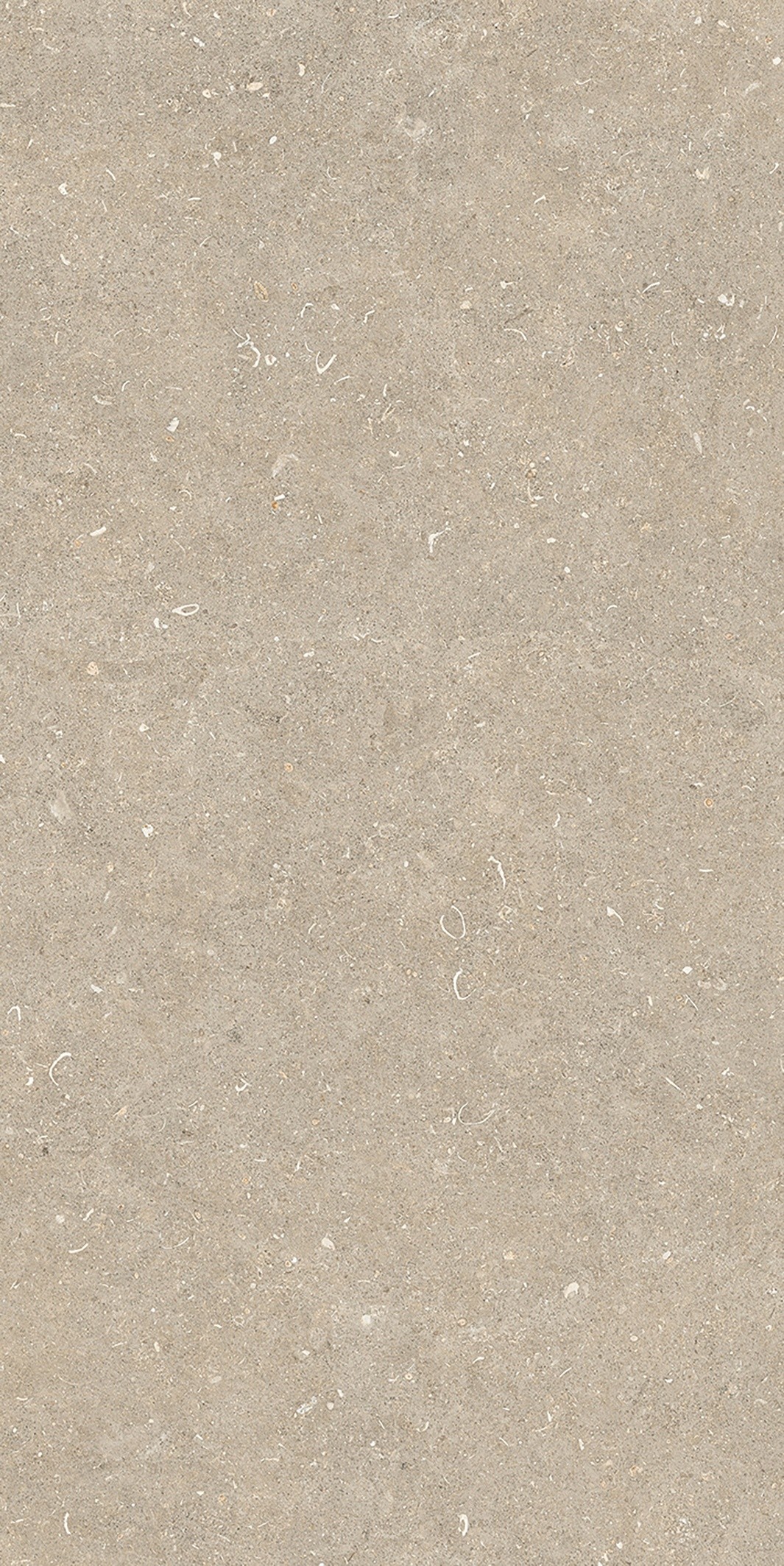 785575 На пол Rinascenza Arena Conchiglia Matte 6mm 60x120 - фото 8