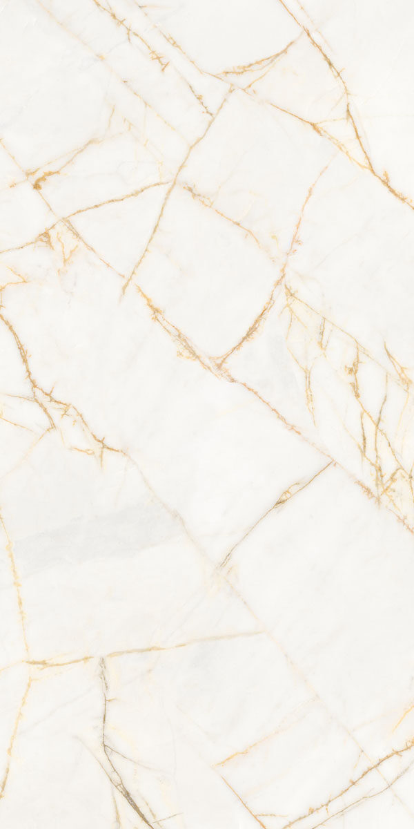 PF60017518 На пол Supreme Hedonism Golden Spider Nat R 60x120 - фото 2