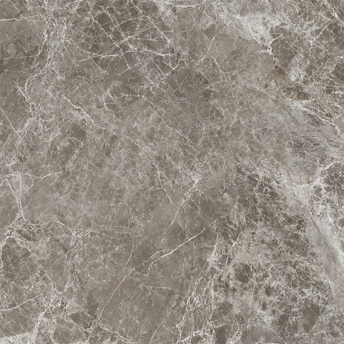 NR0386 На пол Tasos Коричневый Матовый 60x60 - фото 6