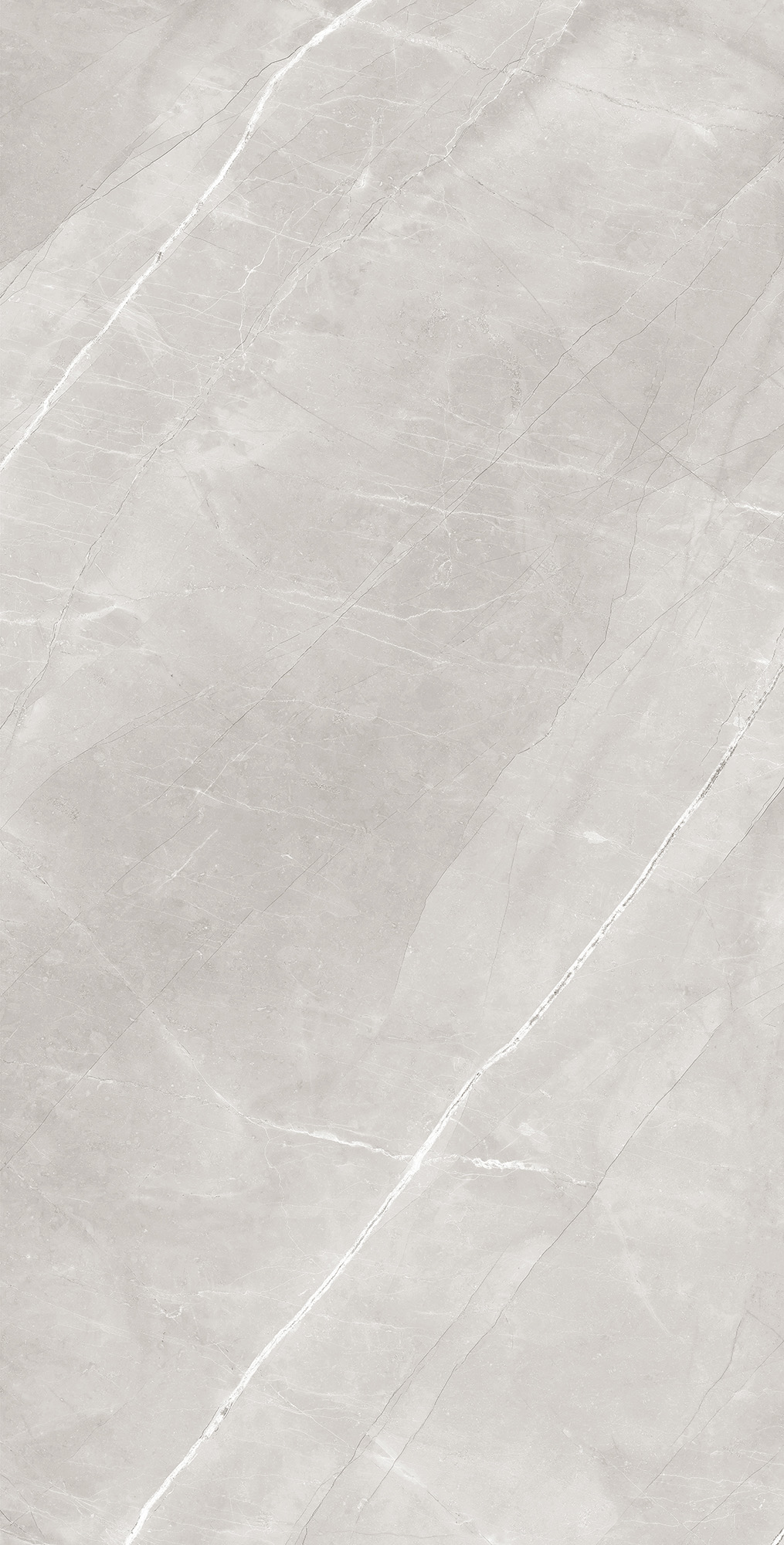 RT7013-A На пол Armani Silver Matt Rustic 60x120 - фото 5