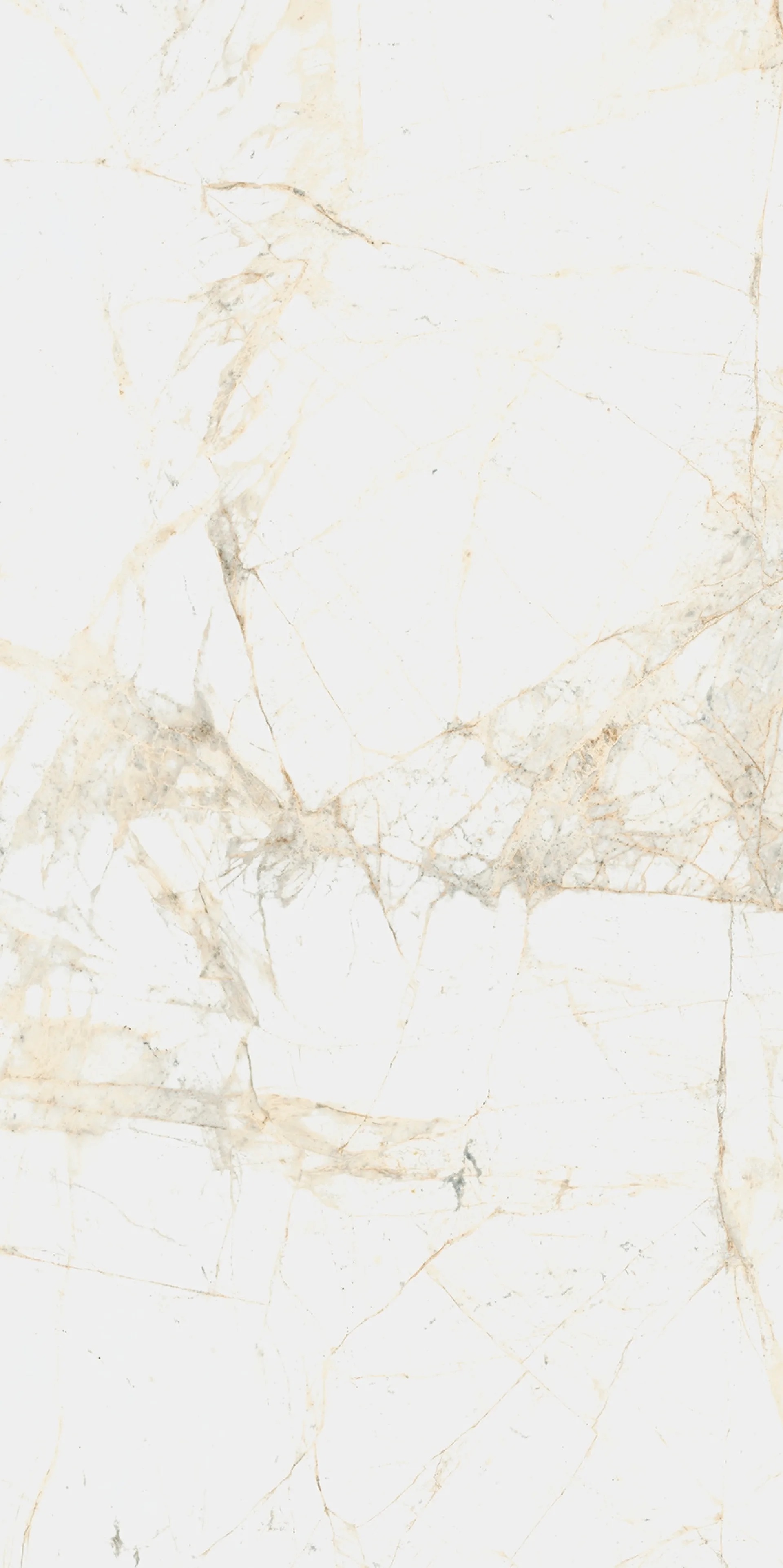 610010005765 На пол Canova / Канова White Ret 60x120 - фото 6