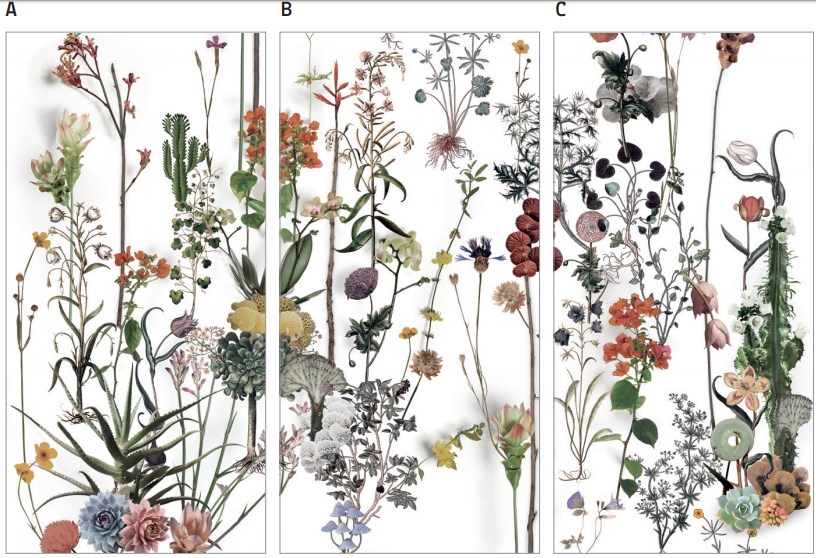 4100716 На стену Paper41 Lux Franz (3 паттерна) - фото 2