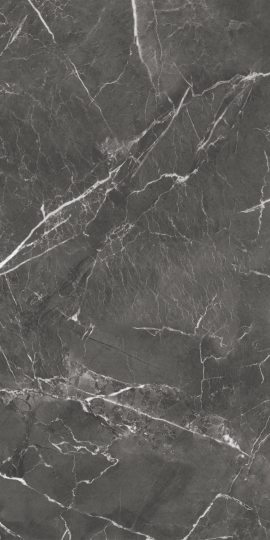 GT1206019809MHRR На пол Oscar Темно-серый матовый 60x120 - фото 5